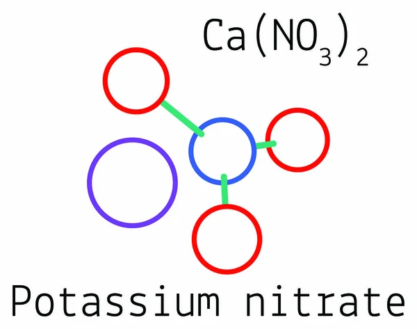 CaN2O6 Molécula de nitrato cálcico — Vector de stock