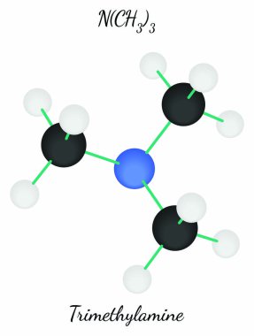 Trimethylamine C3h9n molekül