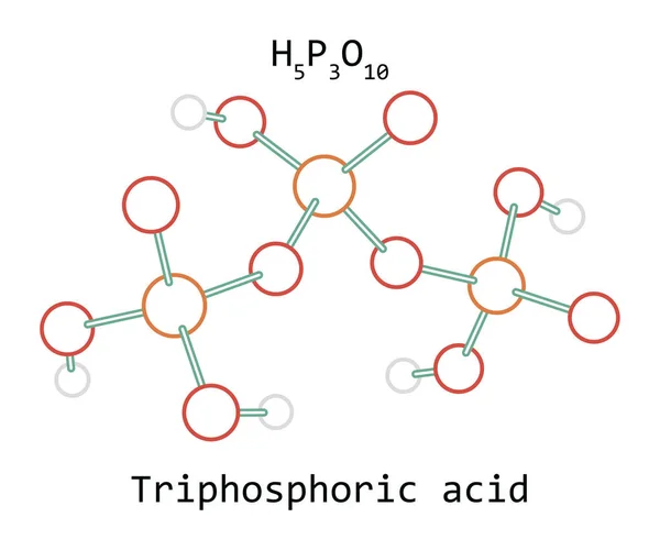 Molécula Ácido trifosfórico H5P3O10 — Vector de stock