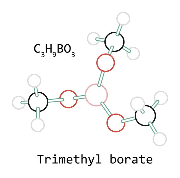 Molécula C3H9BO3 borato de trimetilo — Vector de stock