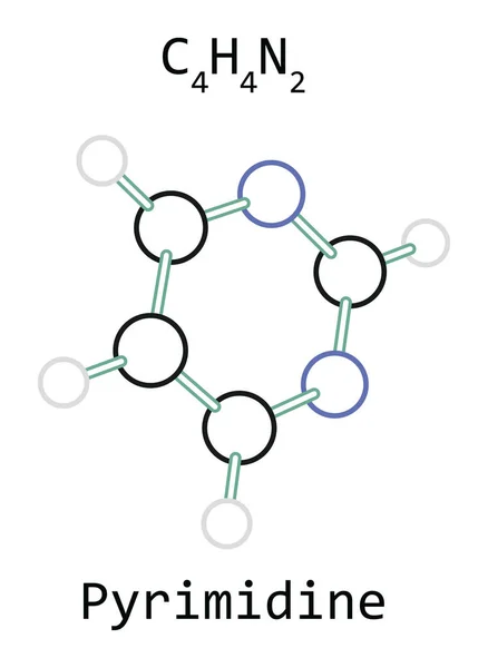 Molekula C4h4n2 pyrimidinu — Stockový vektor