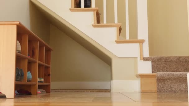 Мужчина, использующий лестницу в своем доме — стоковое видео