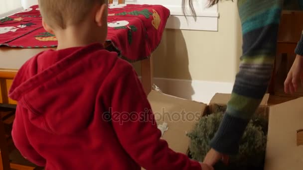 Una madre y un niño sacan el árbol de navidad — Vídeo de stock