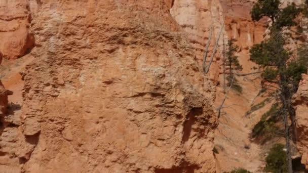 Bryce Canyon milli parkta hiking bir aile — Stok video
