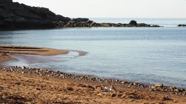 Una hermosa cala marina y playa de arena — Vídeos de Stock