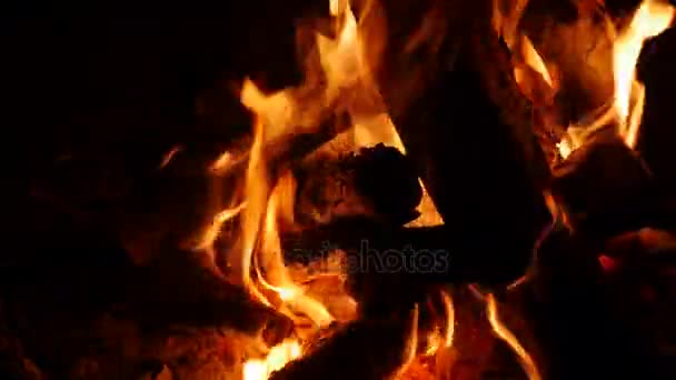 Ένα μεγάλο campfire που καίει τη νύχτα — Αρχείο Βίντεο