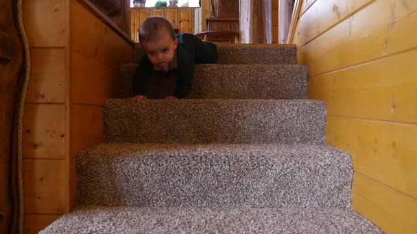 Baby boy going precariously up or down the stairs — Stock Video