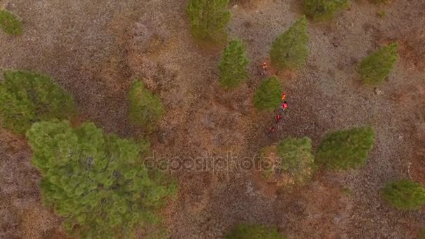 Família caminhando pela floresta caça — Vídeo de Stock