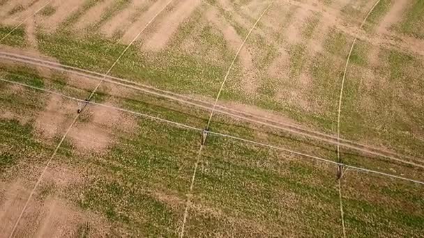 Jordbrukare sprinkler- och irrigations sytem — Stockvideo