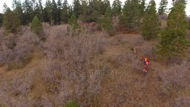 Familie auf der Jagd durch den Wald — Stockvideo