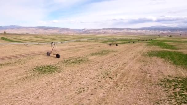 Boeren droog gebied in de zomer — Stockvideo