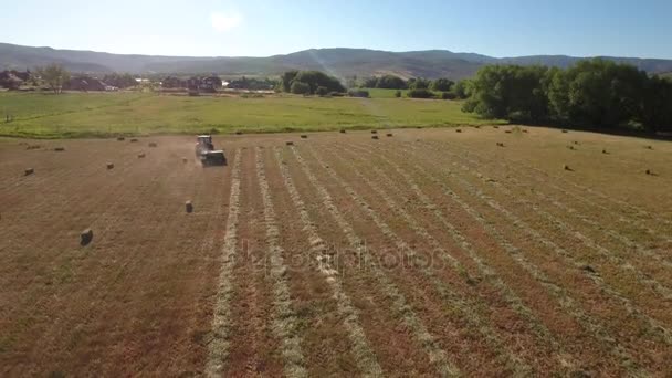 Tractor al corte y rescate del heno — Vídeo de stock