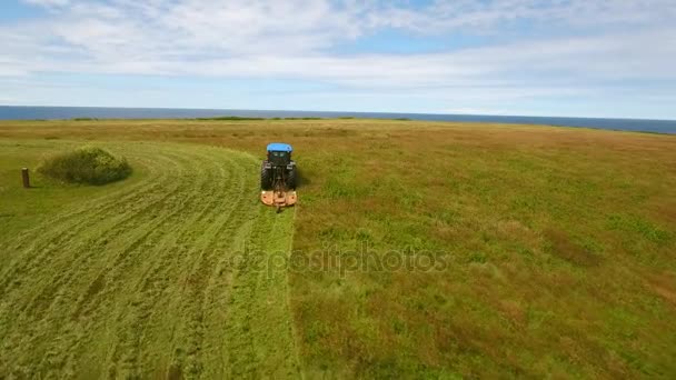 A farmer cutting the hay in his field — Stock Video