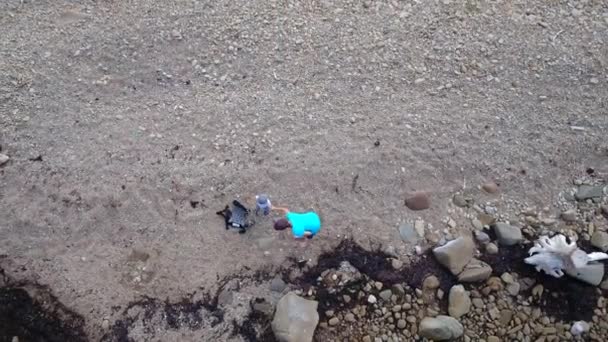 Mother and baby at rocky beach — Stock Video