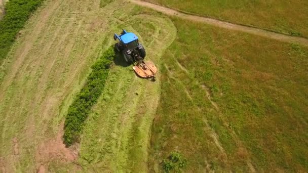 Ein Bauer schneidet das Heu auf seinem Feld — Stockvideo