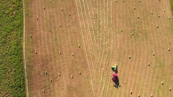 切断と干し草を救済するトラクター — ストック動画