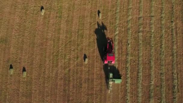 Traktor na řezání a zachraňovat seno — Stock video