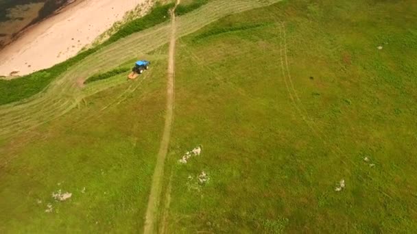 Ein Bauer schneidet das Heu auf seinem Feld — Stockvideo