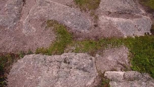 Río en un profundo cañón desfiladero con bosque de montaña — Vídeos de Stock