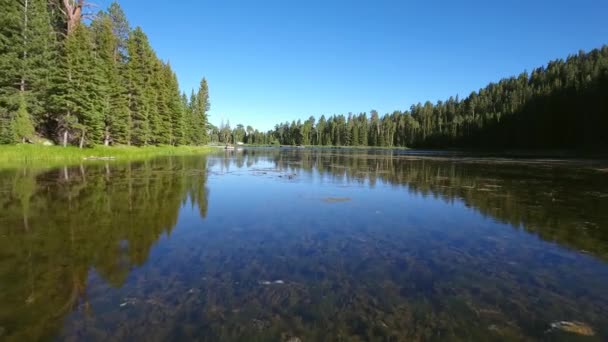 Качки на красивому гірському озері на заході сонця — стокове відео