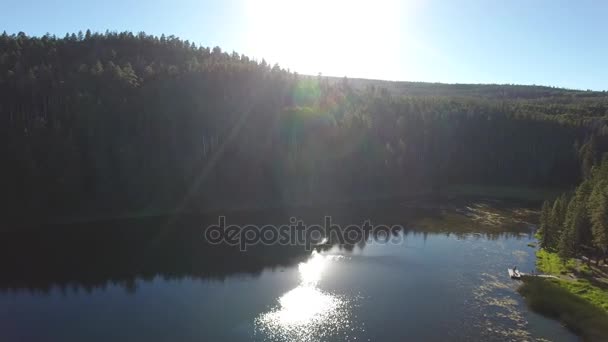 Árboles en el hermoso lago de montaña al atardecer — Vídeos de Stock