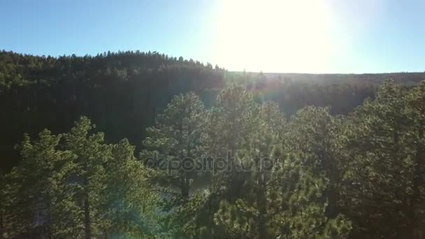 Bäume am schönen Bergsee bei Sonnenuntergang — Stockvideo