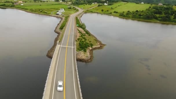 汽车在高速公路上开车过桥 — 图库视频影像