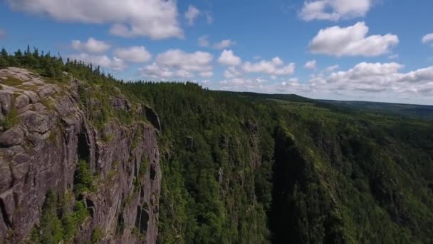 Río en un profundo cañón desfiladero con bosque de montaña — Vídeos de Stock