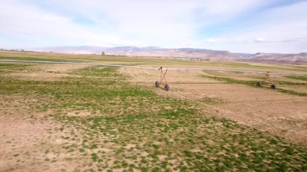 Jordbrukare torra fält i den varma sommaren — Stockvideo