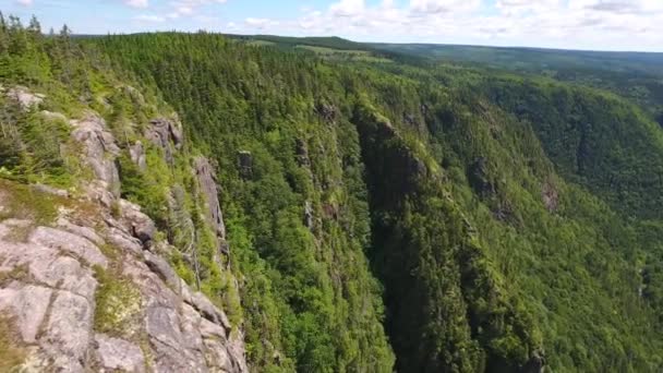 Rivière dans une gorge profonde de canyon avec forêt de montagne — Video