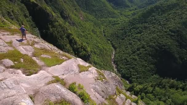 Rivière dans une gorge profonde de canyon avec forêt de montagne — Video