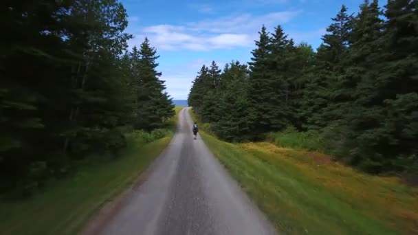 Matka a dítě, chůzi směrem k pobřeží oceánu — Stock video