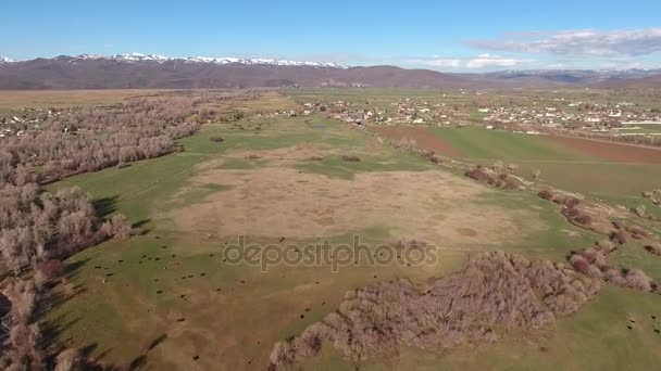 River in fields and town in spring — стоковое видео