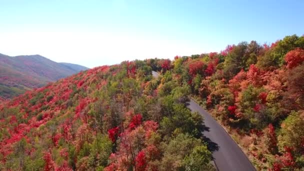 Autumn fall colors and mountain road — Stock Video