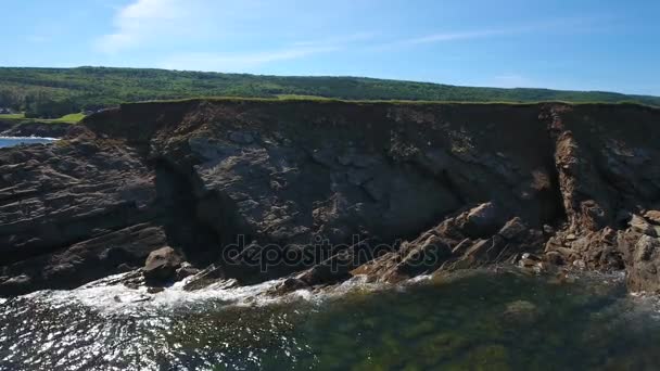 Robust shore på Kap Bretonön — Stockvideo