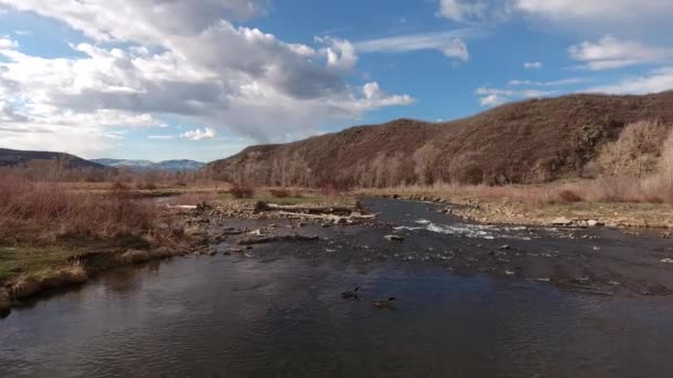 川の上を飛んでカナダのガチョウ — ストック動画