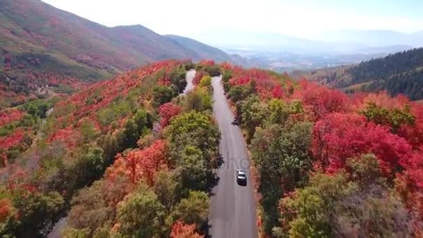 Voiture en voiture à travers le parc Utah — Video