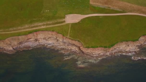 Litoral oceânico bonito e acidentado de Cape Breton — Vídeo de Stock