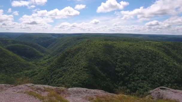 Rivière dans une gorge profonde de canyon avec des forêts de montagne — Video