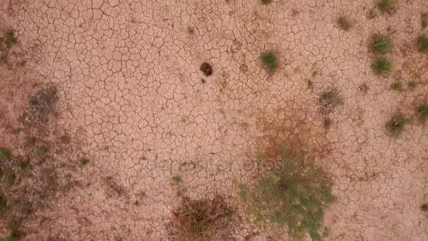 Desierto seco caliente y las grietas en la arena — Vídeos de Stock