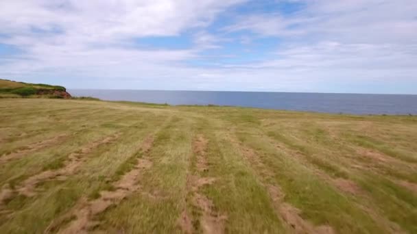 Veld en rotsachtige Oceaan kust — Stockvideo