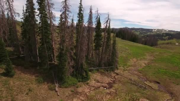 Höga bergspass på våren — Stockvideo