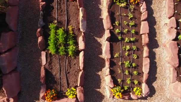 Raised garden beds and greenhouse — Stock Video