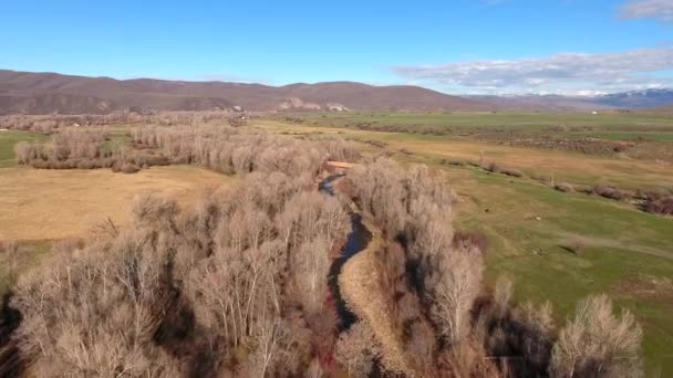 River in fields and trees in springtime — Stock Video