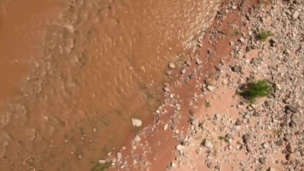 Березі річки Діви в пустелі Невада — стокове відео