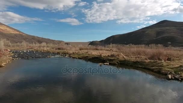Mountain river in the morning with ducks and geese — Stock Video