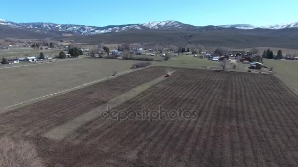 Câmp de tractor și cai de pășunat — Videoclip de stoc