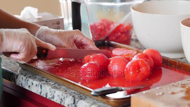 女性が新鮮なサルサのトマトをチョップします。 — ストック動画
