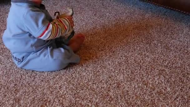Mały chłopiec czołga się na podłodze i bawi zabawką — Wideo stockowe