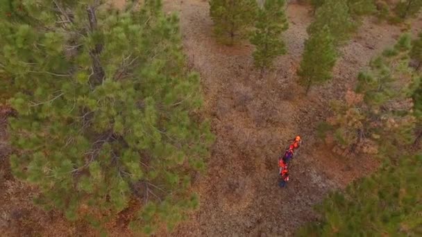 Família caminhando pela floresta caça — Vídeo de Stock